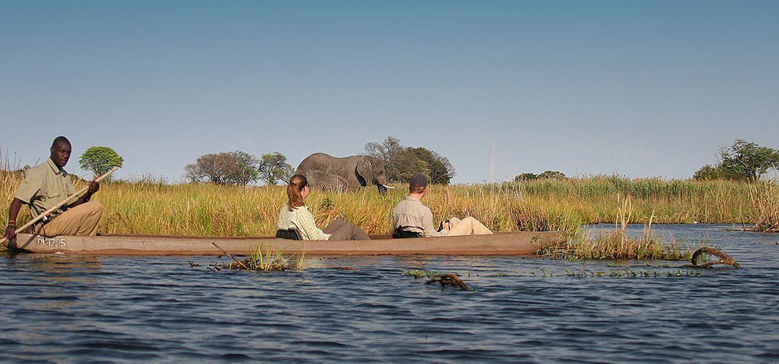 Verlängerungsprogramm zum Chobe Nationalpark und ins Okavango-Delta (2026/2027)