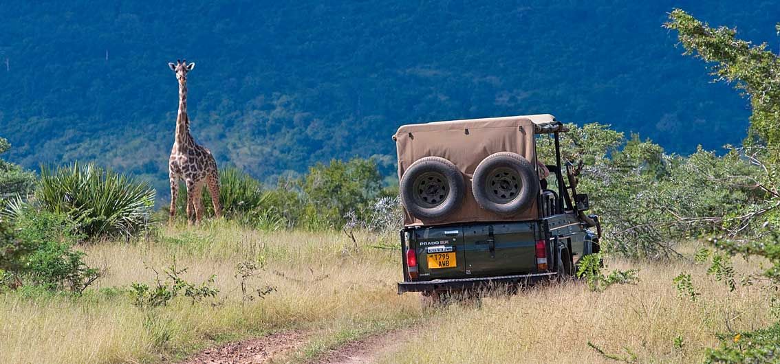 Versteckte Juwele (2026)