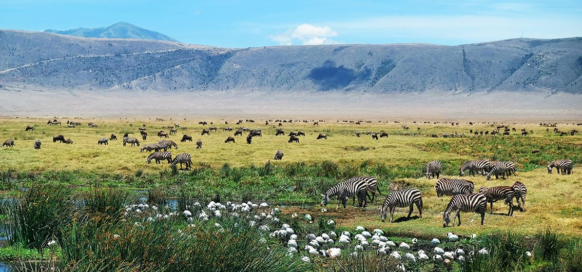 Afrika-Ngorongoro-Krater-