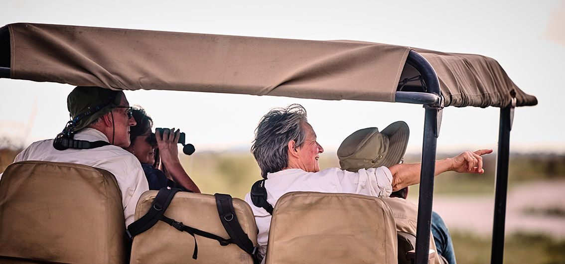 Auf Safari im Madikwe-Wildreservat