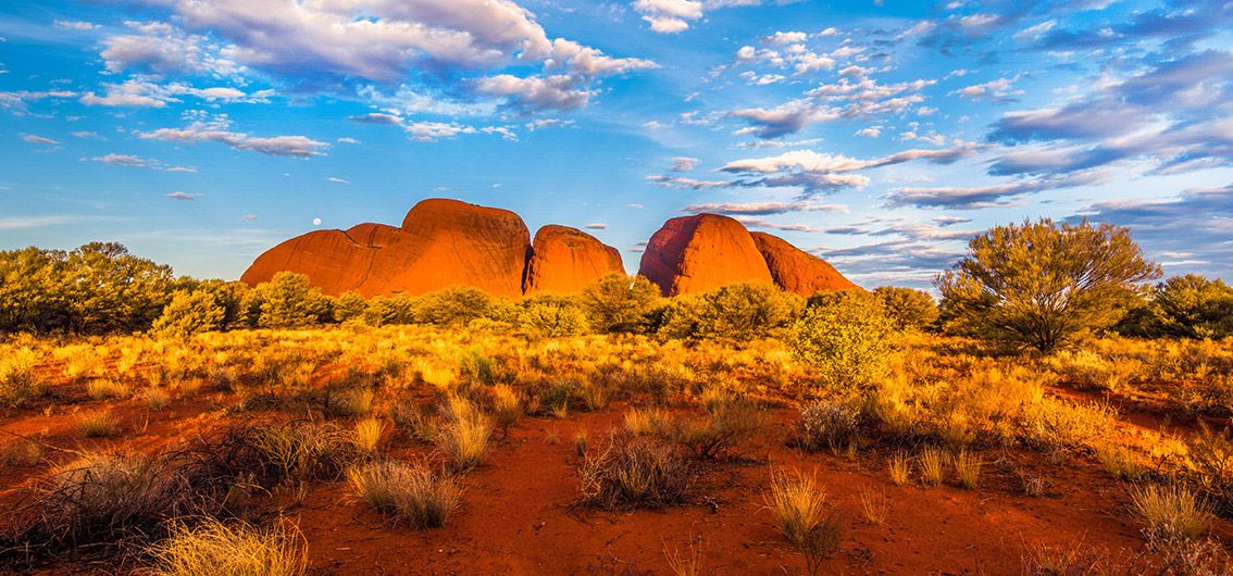 Australien_Im-Outback