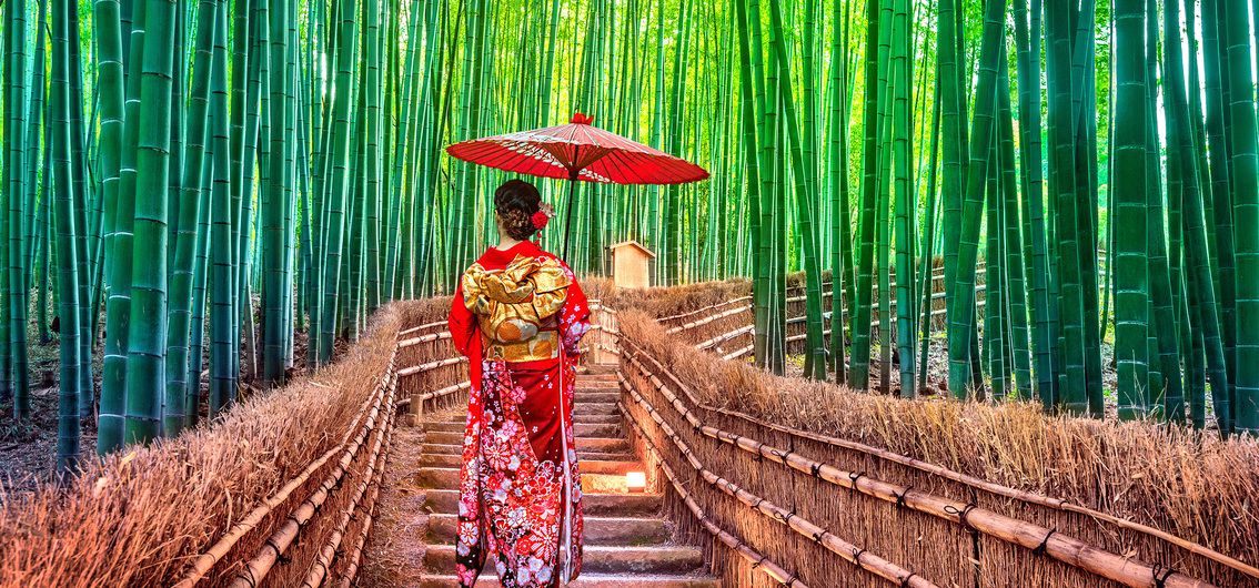 Kultur-und Naturschätze im Land der aufgehenden Sonne (2026)