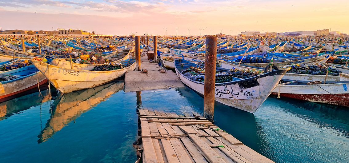 Bunte-Fischerboote-im-Hafen-von-Nouadhibou