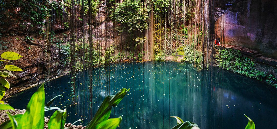Cenote-im-Regenwald-Yucatáns