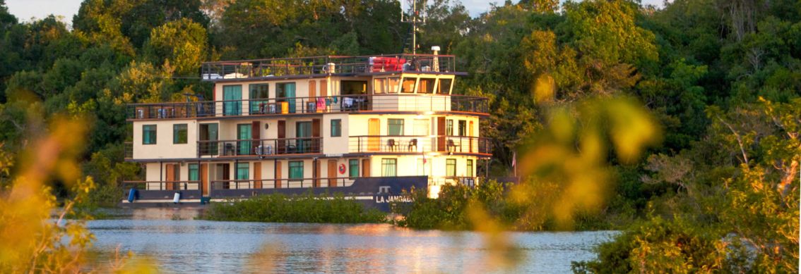 MS Jangada im Amazonas Regenwald