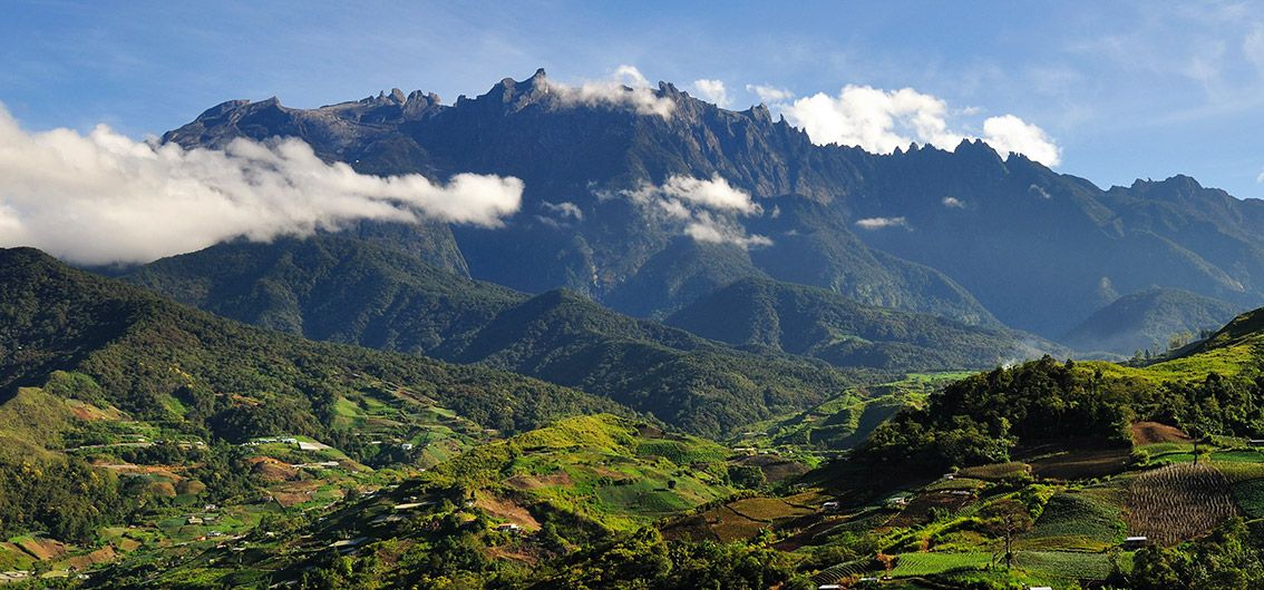 Bei den Orang-Utans und Malaienbären im Regenwald (2026)