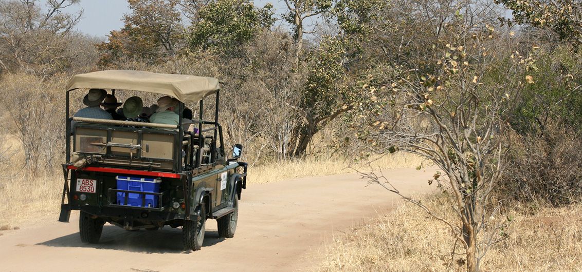 Safari im offenen Fahrzeug
