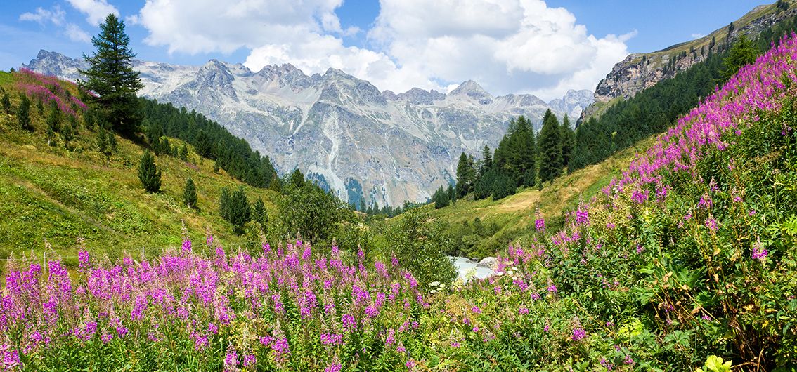 Sils Maria im Oberengadin